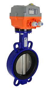 Electric Valve Actuators